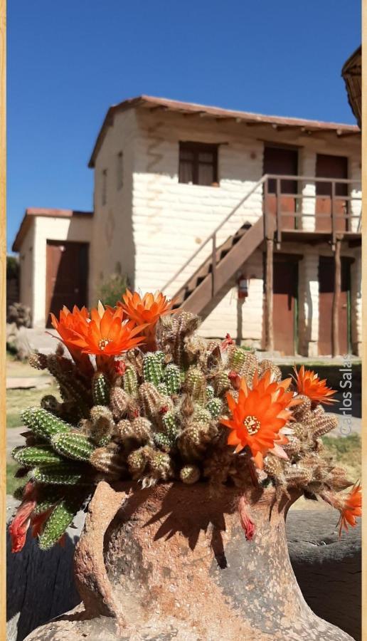 El Sol Hostel De Humahuaca Extérieur photo